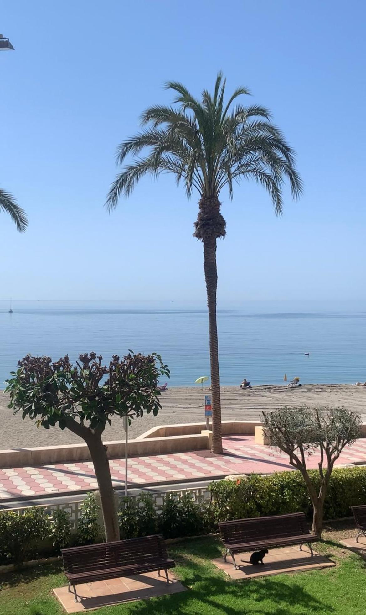Brisas Del Mar Mediterraneo Aguadulce  Exterior foto